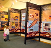 Platypus Experience - Goulburn Accommodation