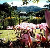 Blueberry Cottage Open Gardens - Goulburn Accommodation