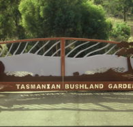 Tasmanian Bushland Garden - Goulburn Accommodation