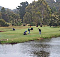 Penguin Golf Course - Goulburn Accommodation