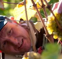 Puddleduck Vineyard - Goulburn Accommodation