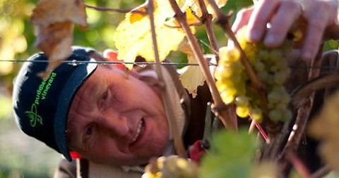 Puddleduck Vineyard - Goulburn Accommodation 0