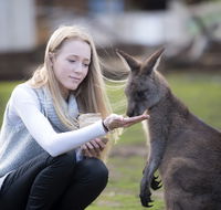 Bonorong Wildlife Sanctuary - Goulburn Accommodation