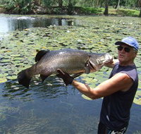 Barra Feeding - Goulburn Accommodation