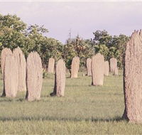 Magnetic Termite Mounds - Goulburn Accommodation