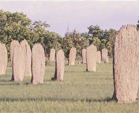 Magnetic Termite Mounds - Goulburn Accommodation 0