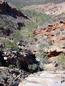 Serpentine Chalet Bush Camping Area - Goulburn Accommodation 0