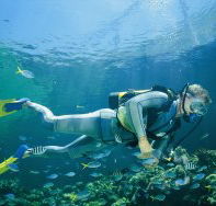 Kirra Reef Dive Site - Goulburn Accommodation