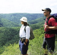 Sunshine Coast Hinterland Great Walk - Goulburn Accommodation