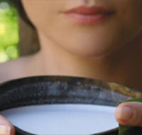 Ikatan Day Spa - Goulburn Accommodation
