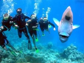 Jew Shoal Dive Site - Goulburn Accommodation 0