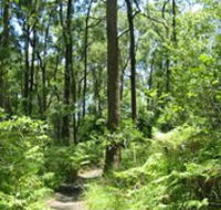 Mapleton Falls National Park - Goulburn Accommodation