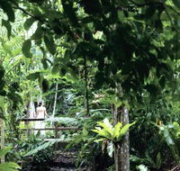 Flecker Botanic Gardens - Goulburn Accommodation