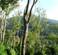 Smiths Track Barron Gorge National Park - Goulburn Accommodation