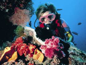 Osprey Reef - Goulburn Accommodation 0