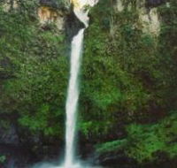 Nandroya Falls Circuit Track Wooroonooran National Park - Goulburn Accommodation