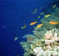 The Three Sisters Dive Site - Goulburn Accommodation