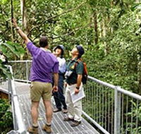 Daintree Discovery Centre - Goulburn Accommodation