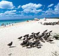 Michaelmas and Upolo Cays National Park - Goulburn Accommodation