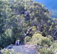 Mia Mia State Forest - Goulburn Accommodation