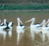 Pelican Point - Goulburn Accommodation