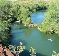 Wild Dog Dreaming Boodjamulla Lawn Hill National Park - Goulburn Accommodation