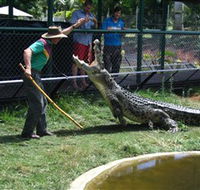 Snakes Downunder Reptile Park and Zoo - Goulburn Accommodation