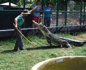 Snakes Downunder Reptile Park And Zoo - Goulburn Accommodation 0
