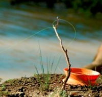 Charleville - Mangalore Warrego River Fishing Spot - Goulburn Accommodation