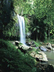Tamborine QLD Goulburn Accommodation