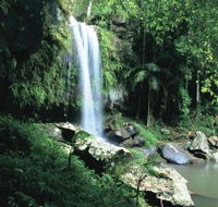 Curtis Falls Joalah Section - Goulburn Accommodation