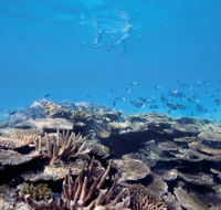 Australian Institute of Marine Science - Goulburn Accommodation