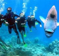 Gotham City Dive Site - Goulburn Accommodation