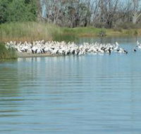 Lake Ross - Goulburn Accommodation