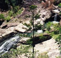 Banksia Track and the Boardwalk - Goulburn Accommodation