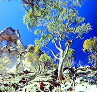 Mount Moffatt Section - Carnarvon National Park - Goulburn Accommodation