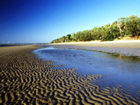 Kinkuna Section - Goulburn Accommodation 0