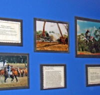 Town Hall Photographic Display - Goulburn Accommodation