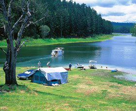 Danbulla National Park And Danbulla State Forest - Goulburn Accommodation 0