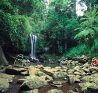 Tamborine National Park - Goulburn Accommodation