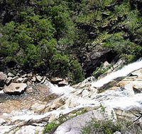 Dinden National Park - Goulburn Accommodation