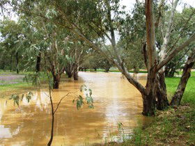 Saddliers Waterhole And Hamburg Creek - Goulburn Accommodation 0