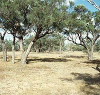 Forest Den National Park - Goulburn Accommodation