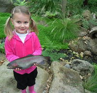 Wild Food Farm  Cafe - Goulburn Accommodation