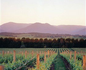 Domaine Chandon - Goulburn Accommodation 0