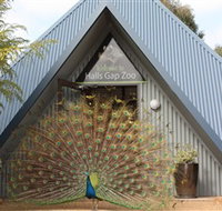 Halls Gap Zoo - Goulburn Accommodation