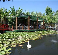Blue Lotus Water Garden - Goulburn Accommodation