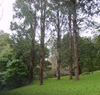Mount Dandenong Arboretum - Goulburn Accommodation