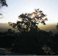 Yarra Flats - Goulburn Accommodation
