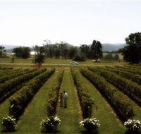 Rochford Wines - Goulburn Accommodation